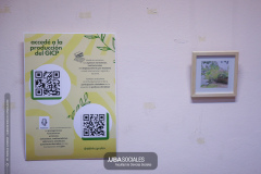 250415-Muestra-Que-lugar-ocupa-el-rio-en-tu-biografia-2H6A0111-Pat-copy