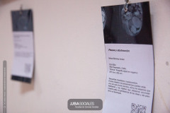 250428-Fotogaleria-HU-C-11