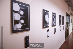 250428-Fotogaleria-HU-C-6